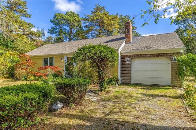 a view of a house with a small yard plants and a large tree
