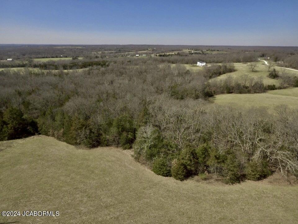 Lot 2 Co Road Holts Summit, MO 65043 - Photo 6 of 23