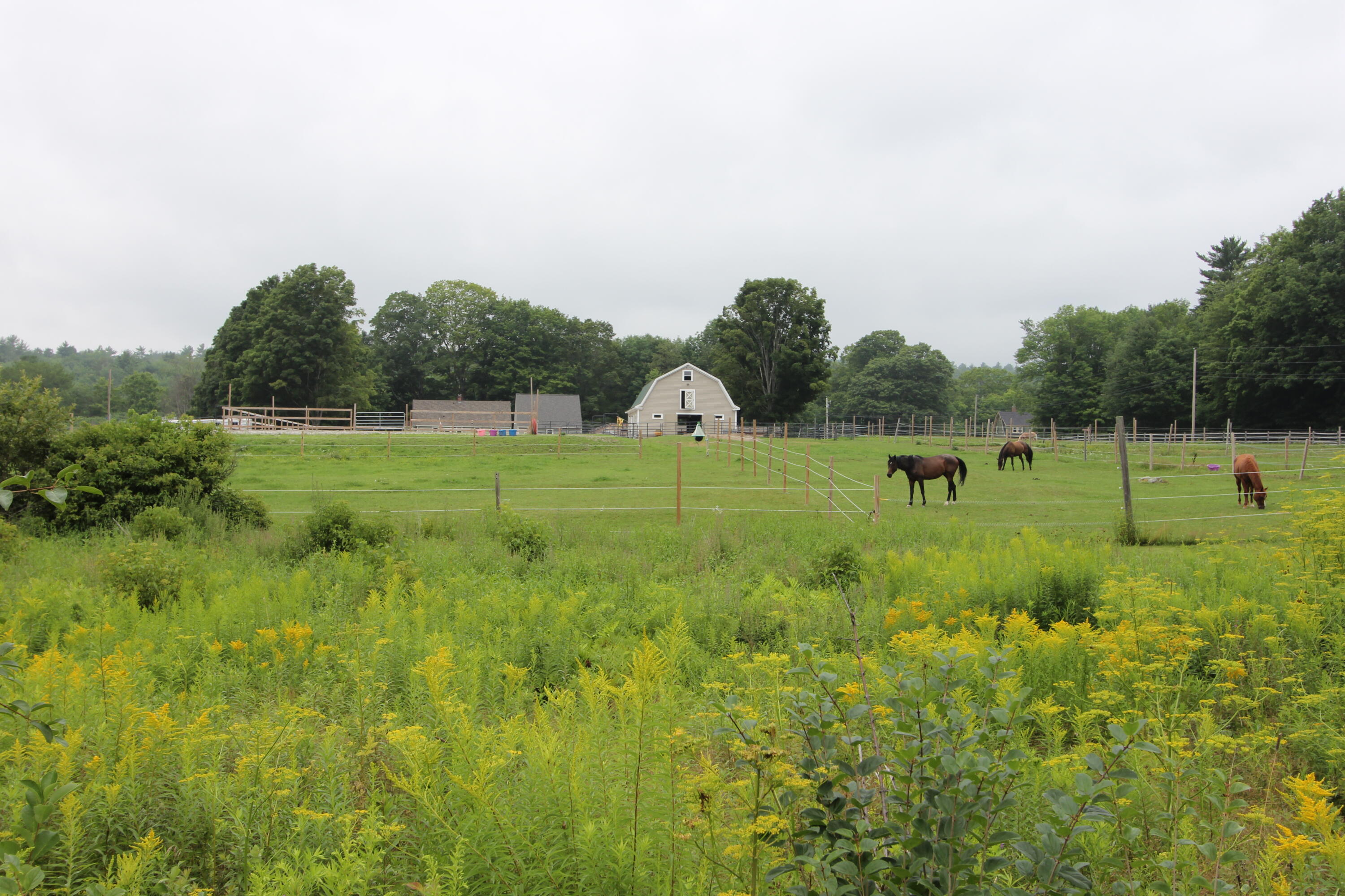 415 Old Lewiston Road Winthrop, ME 04364 - Photo 135 of 155 IMG_5534