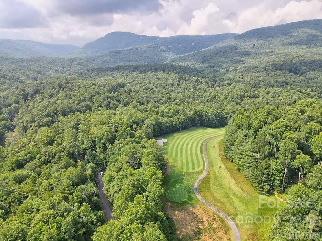 12 Turkey Roost Road, Unit 12 Sapphire, NC 28774 - Photo 11 of 14 a view of a lush green forest with a mountain