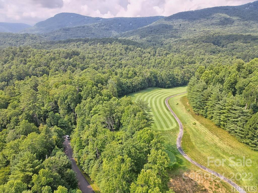 12 Turkey Roost Road, Unit 12 Sapphire, NC 28774 - Photo 12 of 14 a view of a lush green hillside and a mountain