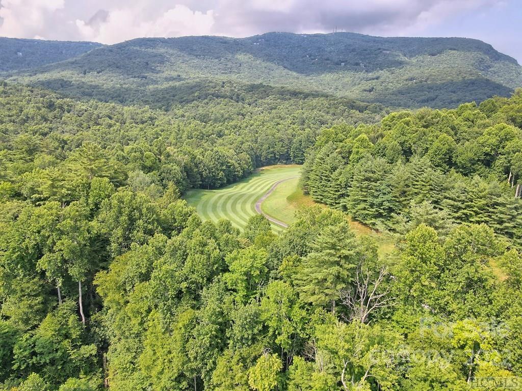 12 Turkey Roost Road, Unit 12 Sapphire, NC 28774 - Photo 13 of 14 a view of a lush green hillside and a houses