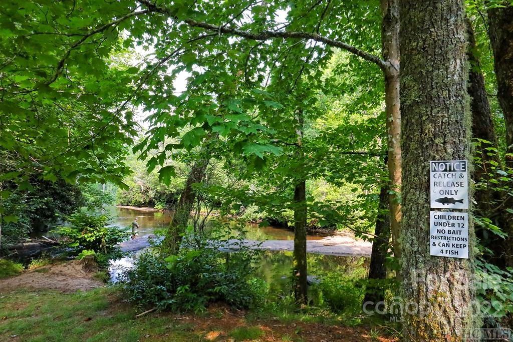 12 Turkey Roost Road, Unit 12 Sapphire, NC 28774 - Photo 5 of 14 a view of a garden