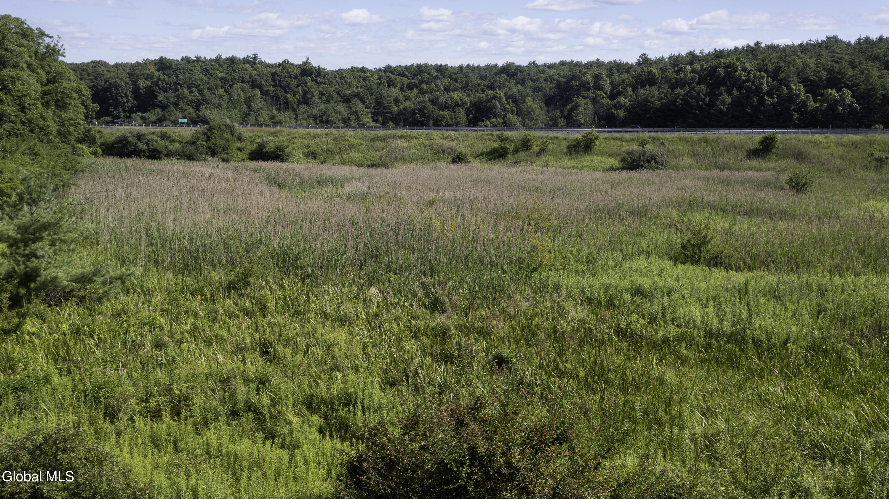 L8 Lower Cady Road Old Chatham, NY 12136 - Photo 18 of 32 DJI_0641