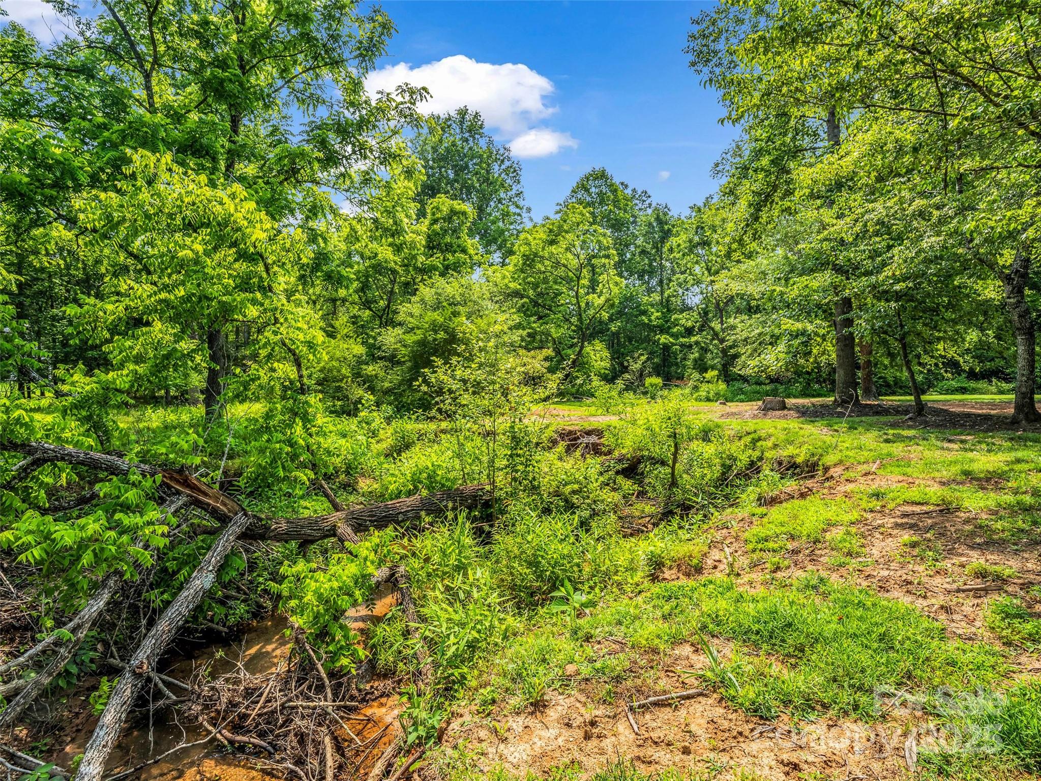 0 Creekside Circle, Unit 120 Rutherfordton, NC 28139 - Photo 12 of 39