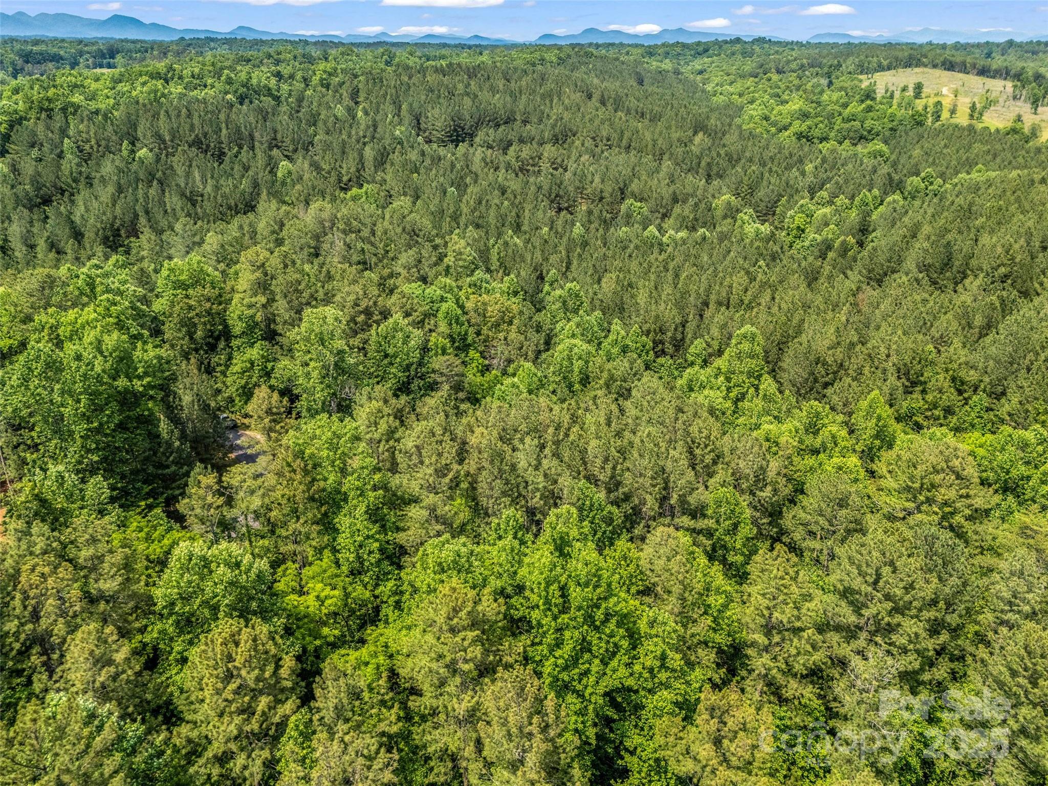 0 Creekside Circle, Unit 120 Rutherfordton, NC 28139 - Photo 22 of 39