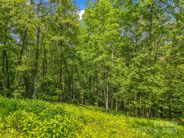 $15,000 | 0 Creekside Circle, Unit 120, Rutherfordton, NC 28139