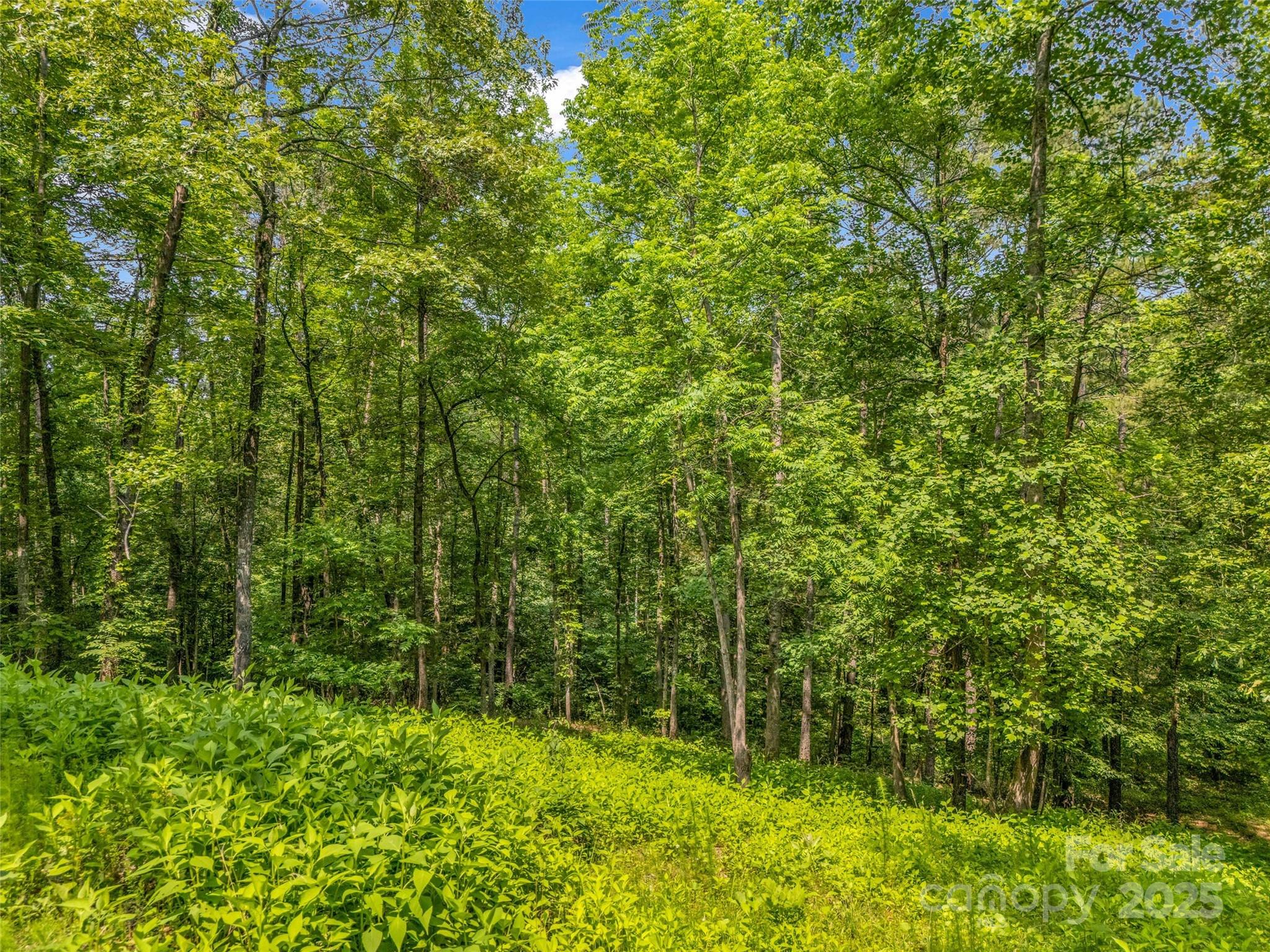 0 Creekside Circle, Unit 120 Rutherfordton, NC 28139 - Photo 3 of 39