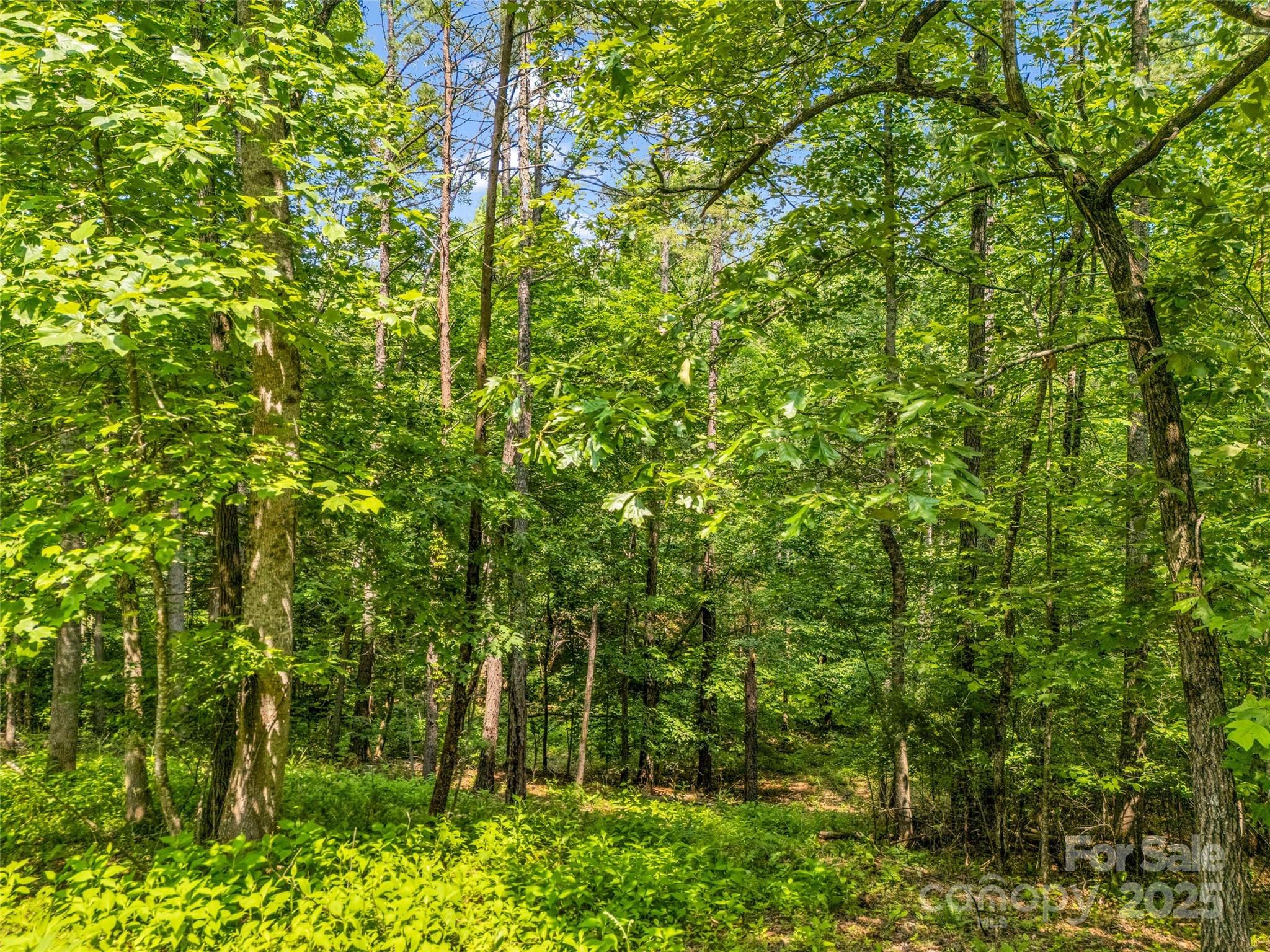 0 Creekside Circle, Unit 120 Rutherfordton, NC 28139 - Photo 4 of 39