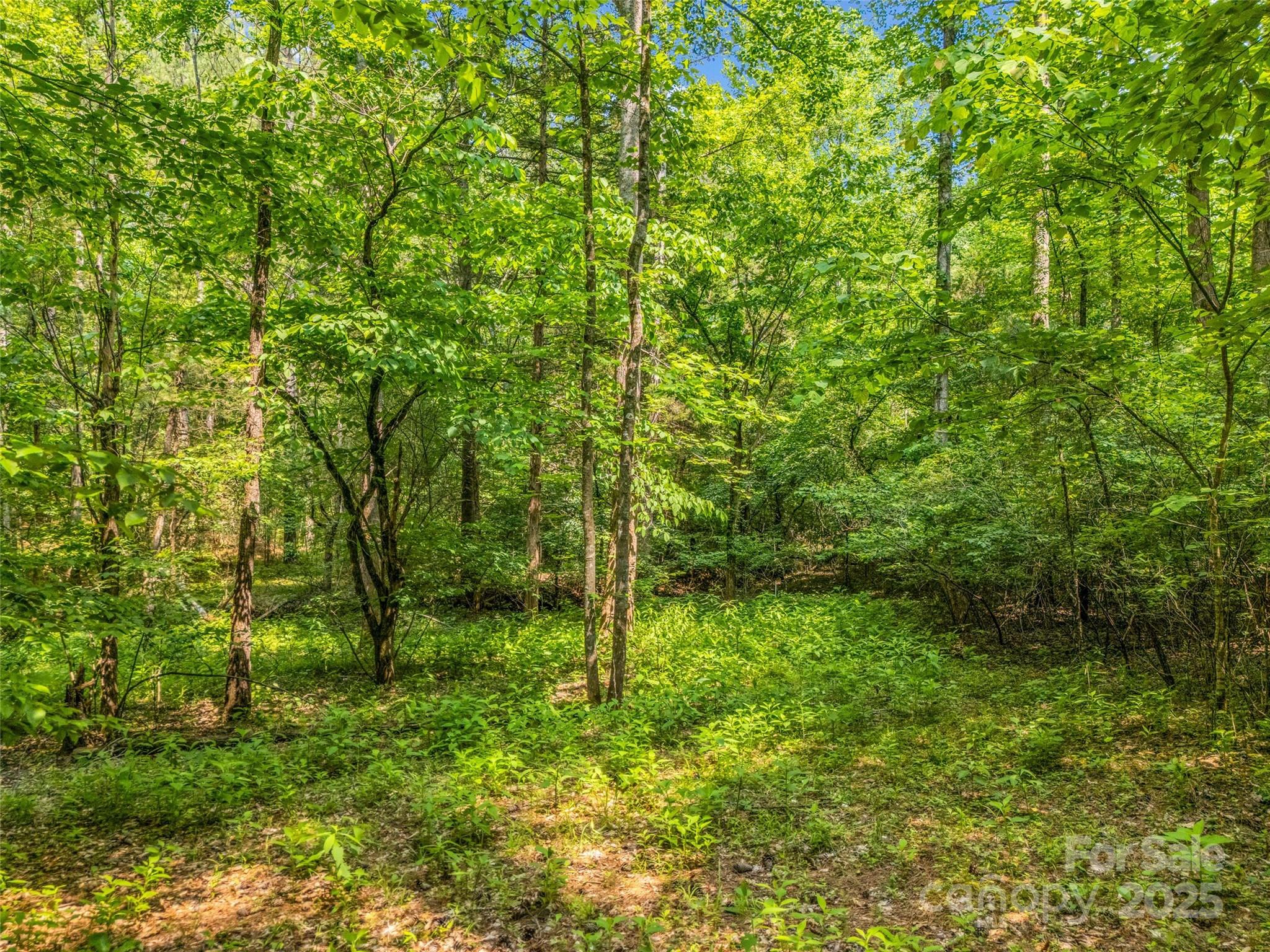 0 Creekside Circle, Unit 120 Rutherfordton, NC 28139 - Photo 5 of 39