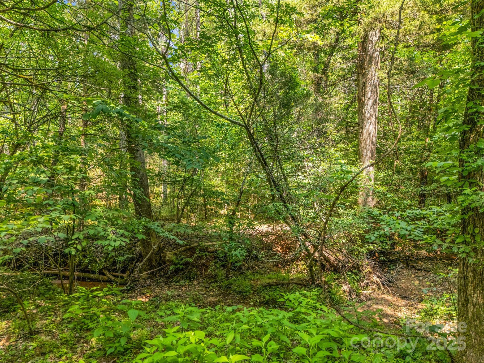 0 Creekside Circle, Unit 120 Rutherfordton, NC 28139 - Photo 6 of 39