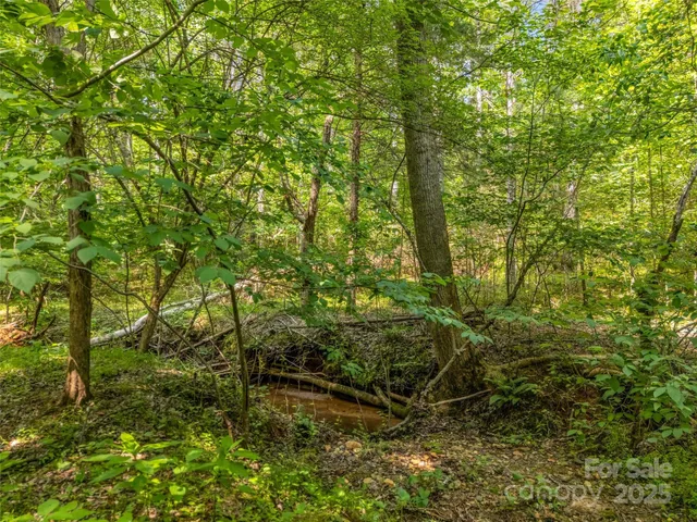 $15,000 | 0 Creekside Circle, Unit 120, Rutherfordton, NC 28139