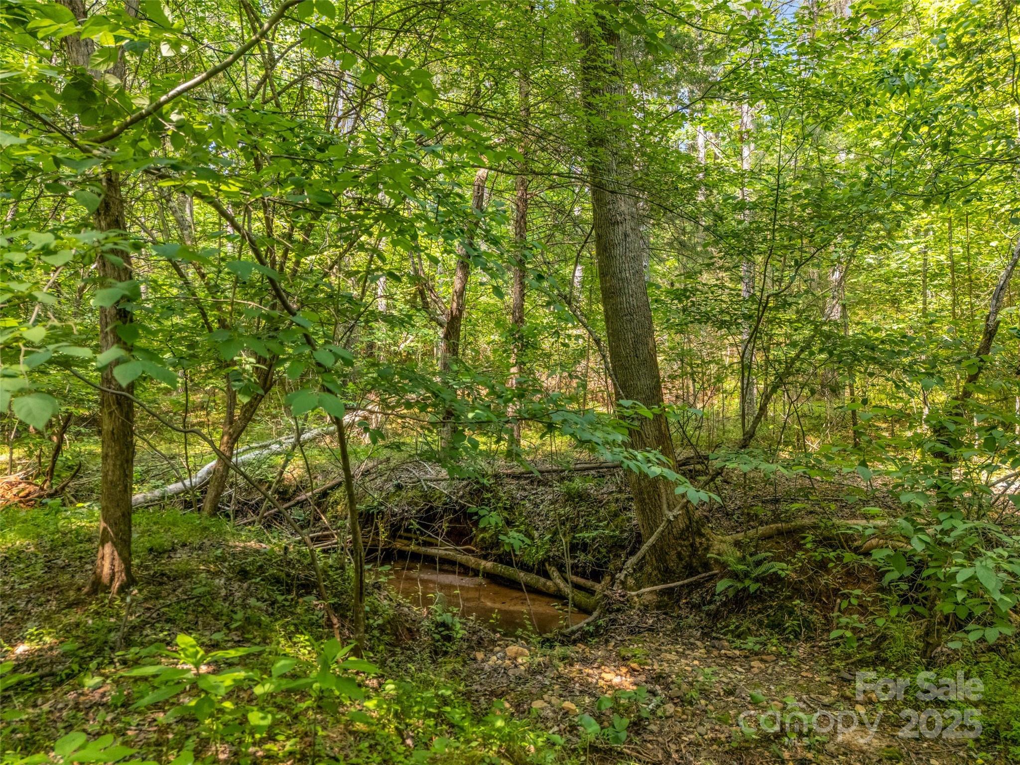 0 Creekside Circle, Unit 120 Rutherfordton, NC 28139 - Photo 7 of 39