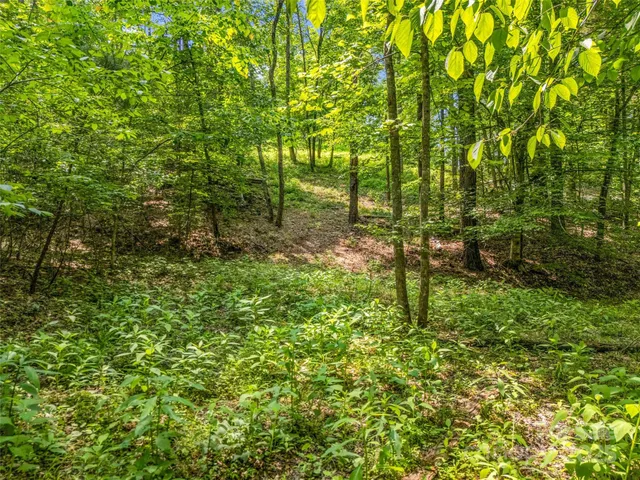 $15,000 | 0 Creekside Circle, Unit 120, Rutherfordton, NC 28139