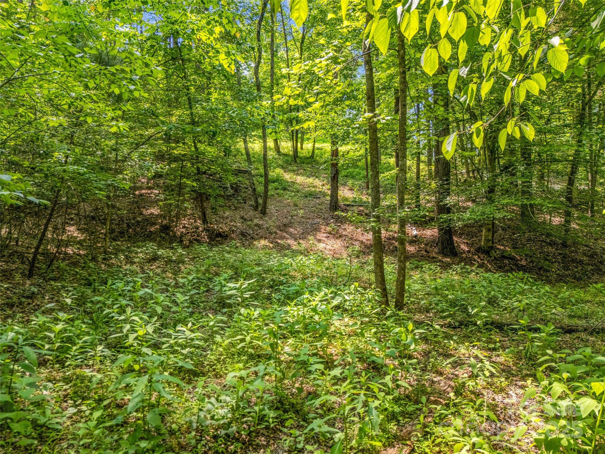 0 Creekside Circle, Unit 120 Rutherfordton, NC 28139 - Photo 9 of 39