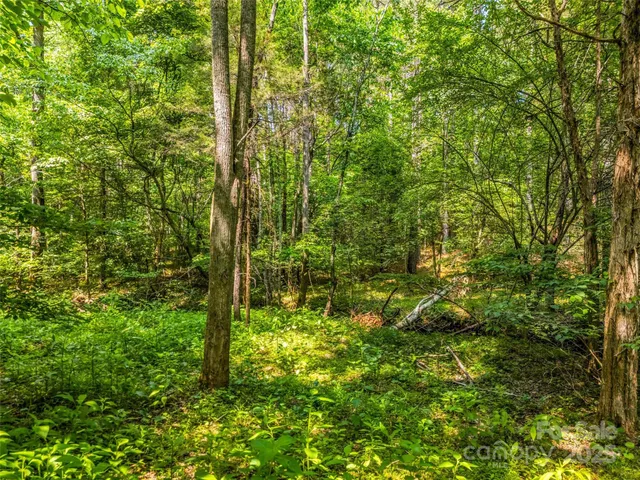 $15,000 | 0 Creekside Circle, Unit 120, Rutherfordton, NC 28139