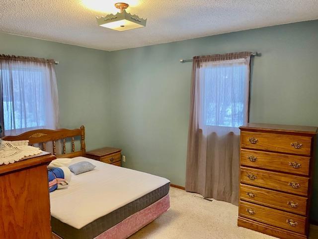 36447 Round Lake Loop Ottertail, MN 56571 - Photo 16 of 44