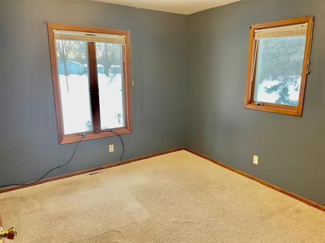 36447 Round Lake Loop Ottertail, MN 56571 - Photo 19 of 44