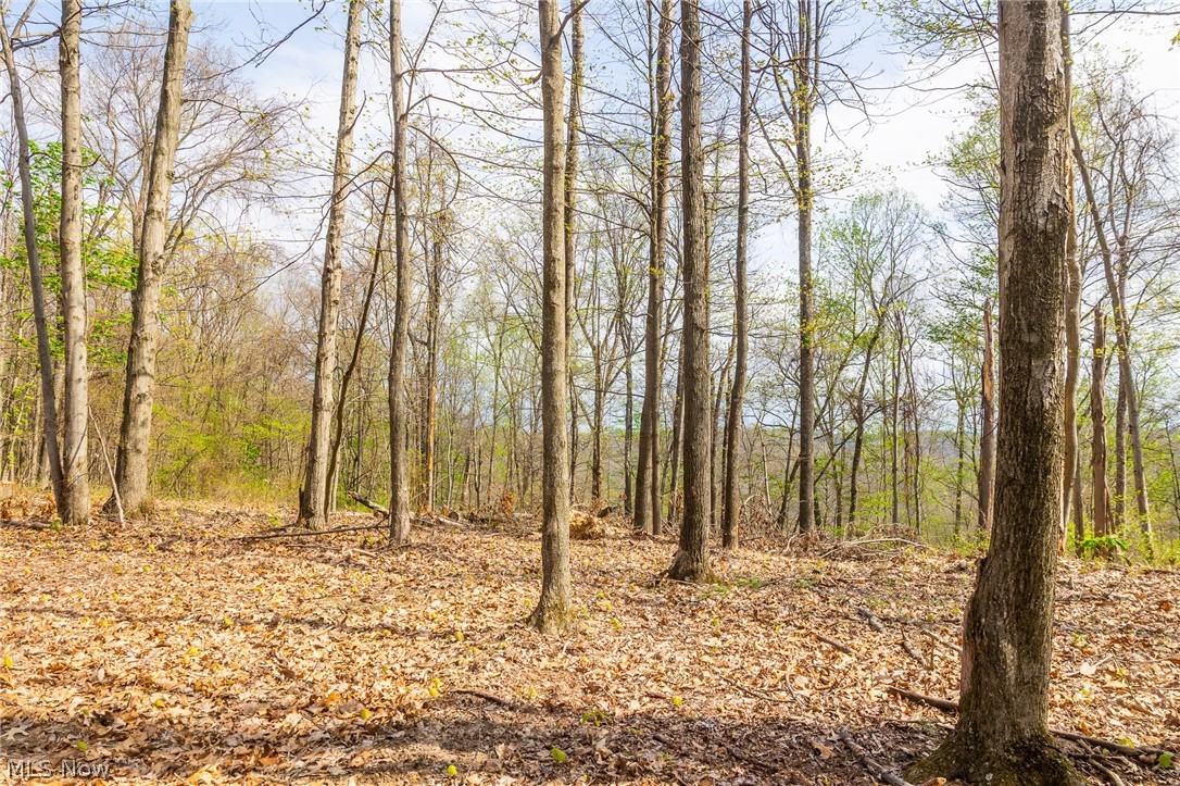 0 Twp Road, Unit 5 Whipple, OH 45788 - Photo 10 of 12