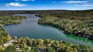 8515 State Rte 243 Rushford, NY 14777 - Photo 39 of 42