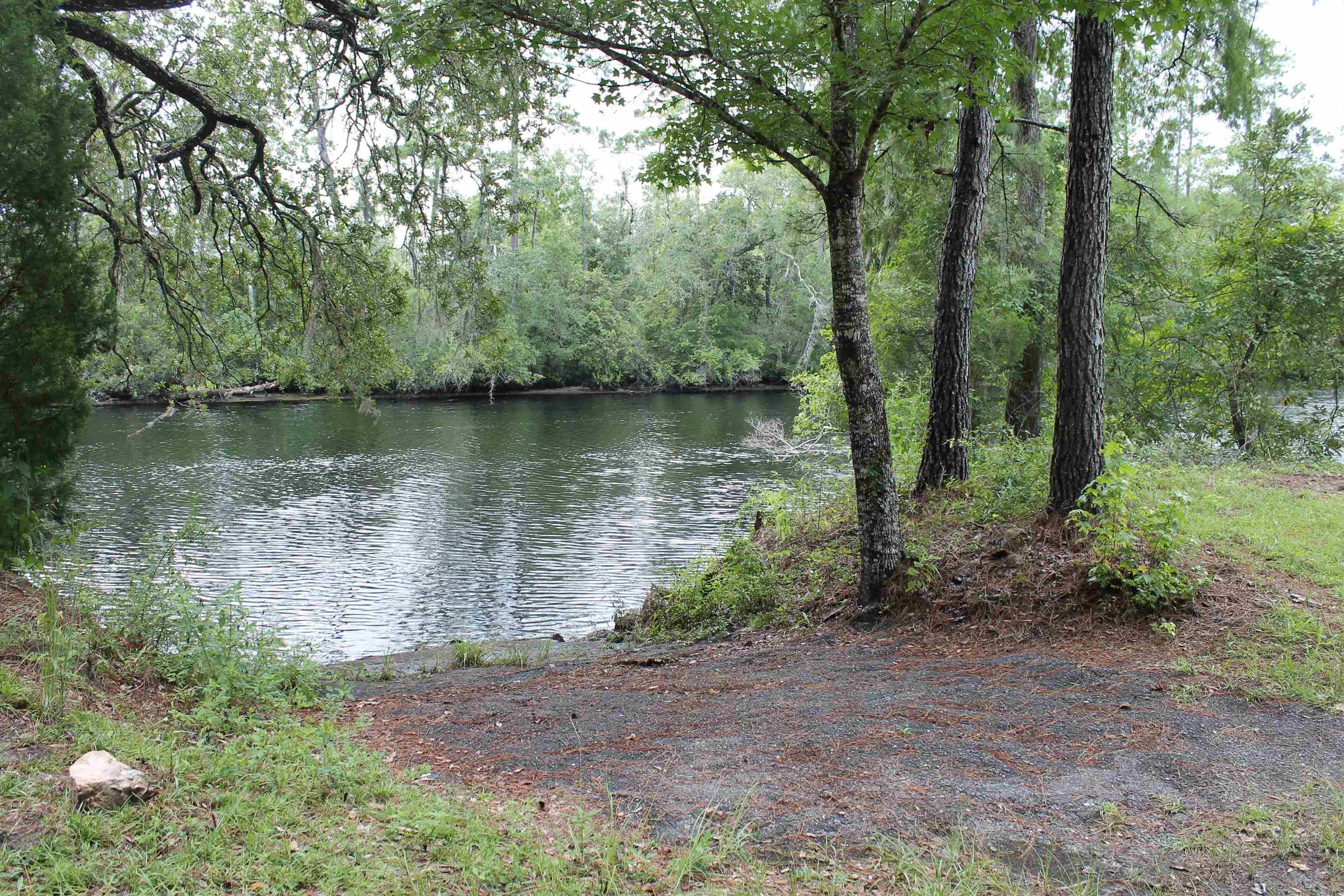 90 Mathis Road Sopchoppy, FL 32358 - Photo 8 of 11