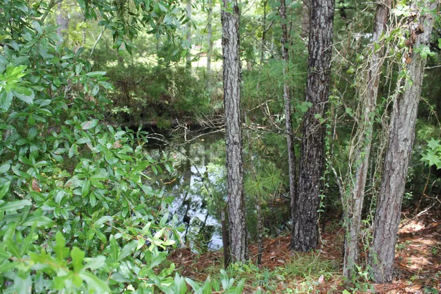 $485,000 | 90 Mathis Road, Sopchoppy, FL 32358