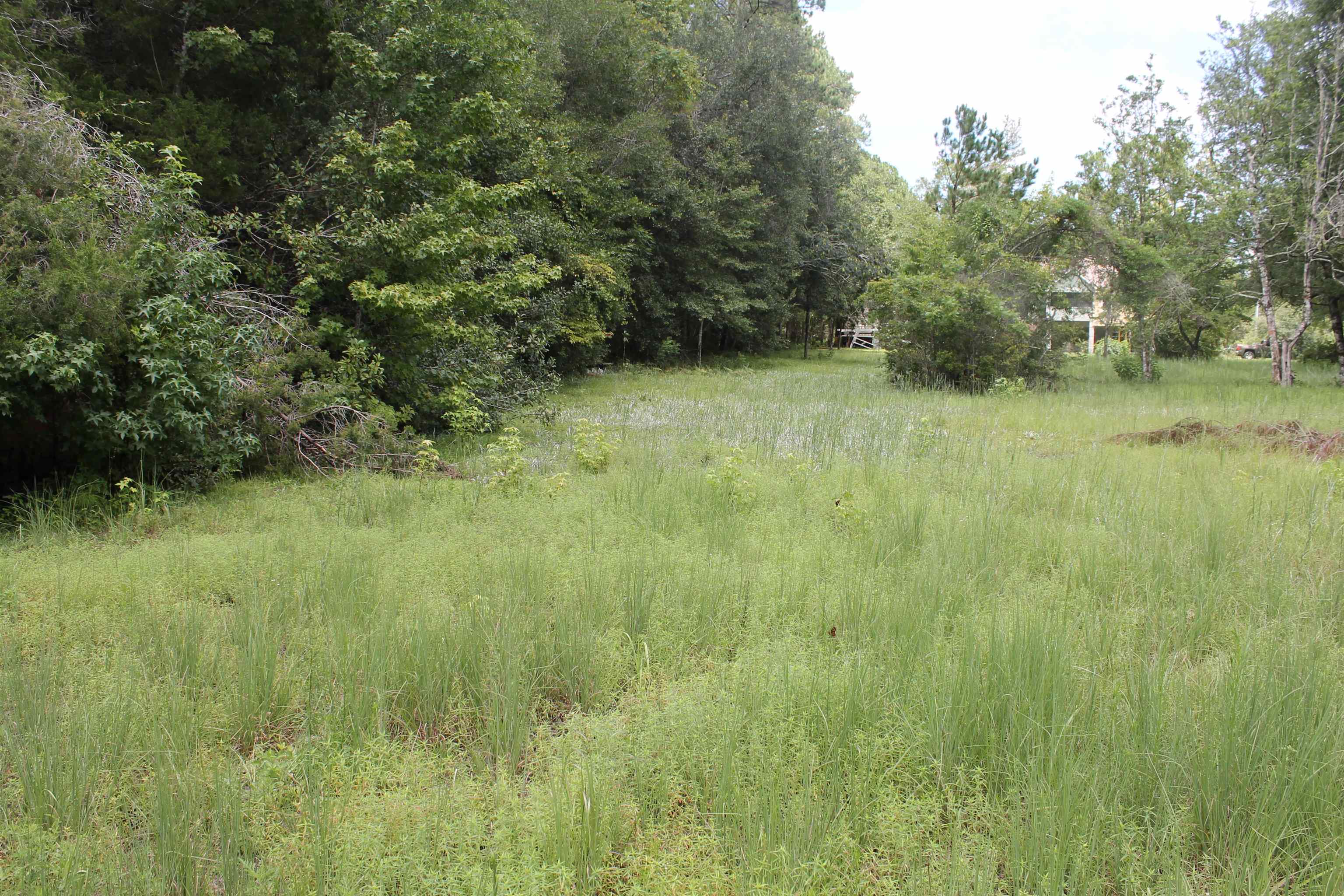 90 Mathis Road Sopchoppy, FL 32358 - Photo 10 of 11