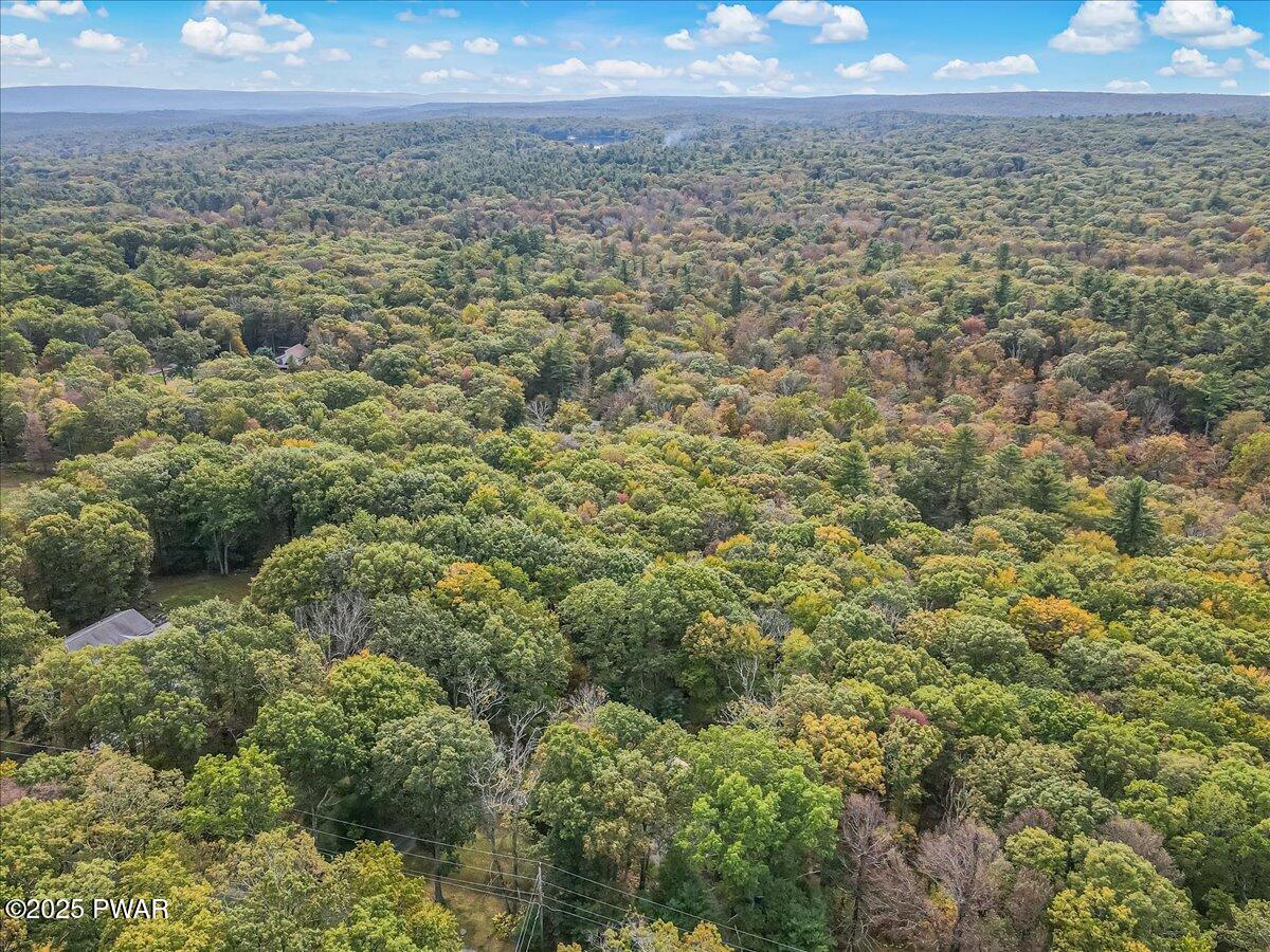 177 Meadow Ridge Acres Road Dingmans Ferry, PA 18328 - Photo 80 of 82 Aerial View