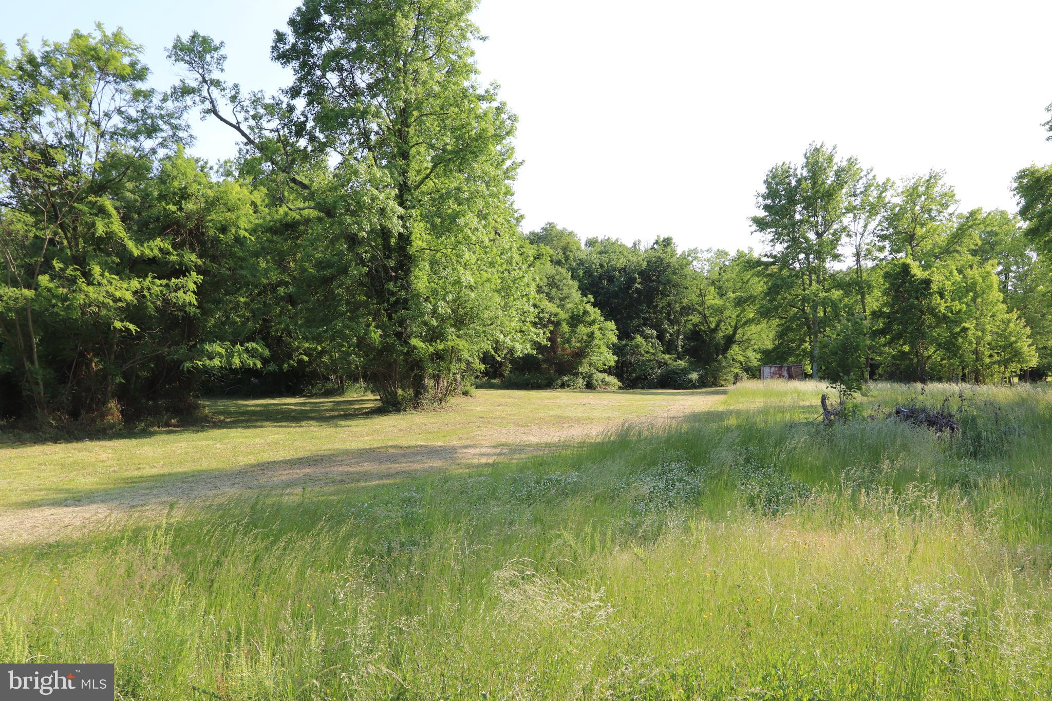 Cobb Island Road Newburg, MD 20664 - Photo 6 of 7 Gallery Image 6