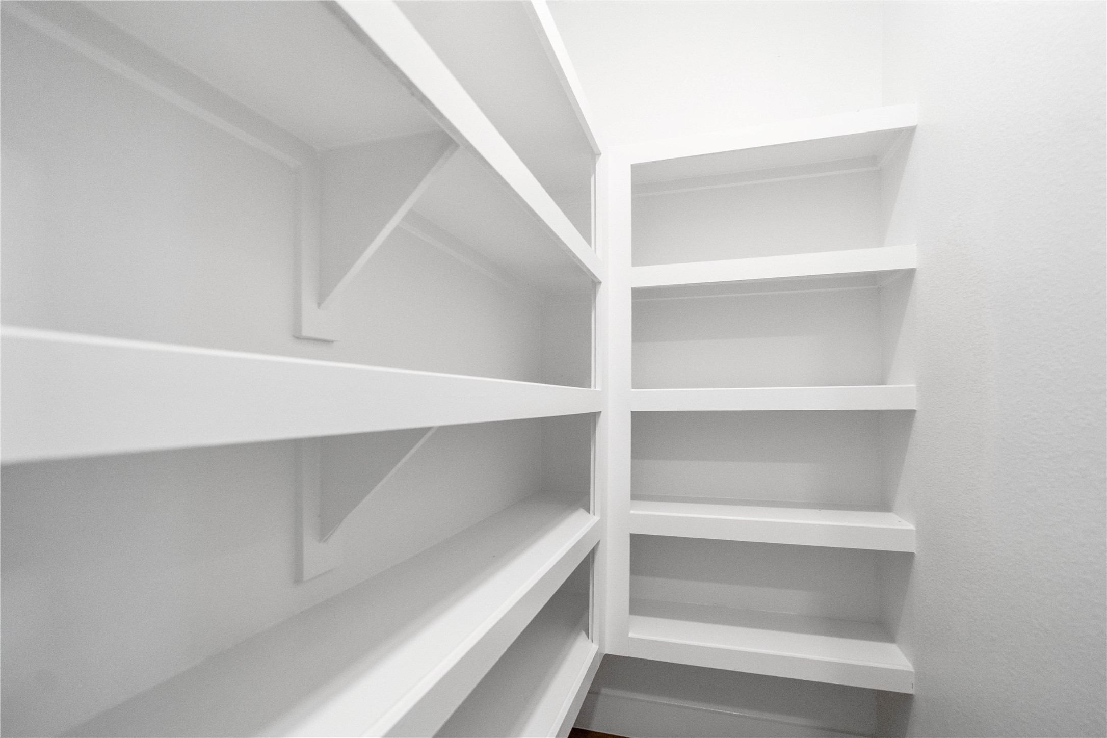 551 Black Bronco Road Magnolia, TX 77354 - Photo 24 of 50 Spacious walk-in pantry offers exceptional storage potential, featuring multiple tiers of sturdy, built-in white shelving. Designed for maximum organization, the deep shelves provide ample space for all your culinary needs.