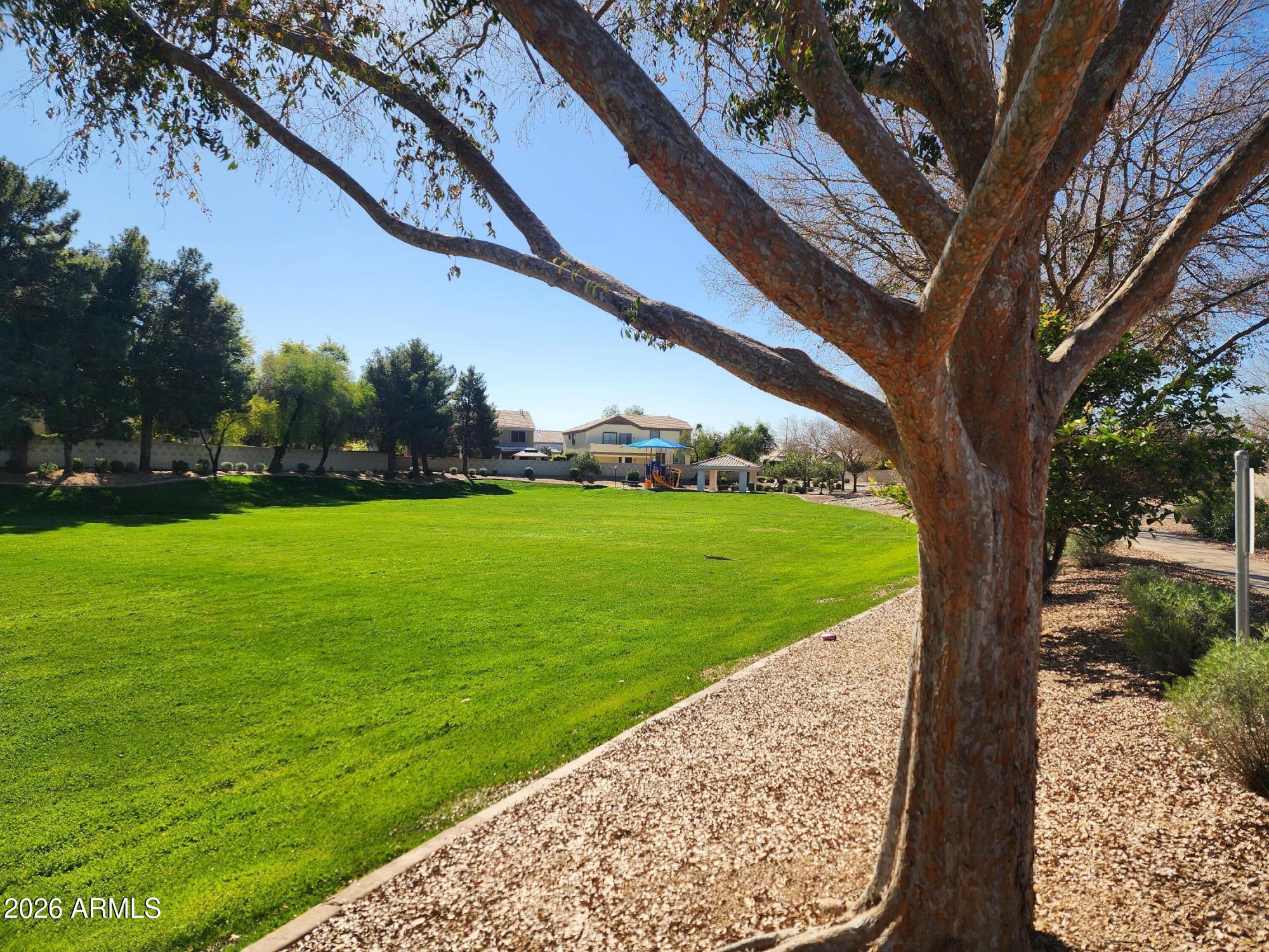 1099 South Justine Court Gilbert, AZ 85296 - Photo 54 of 60 a view of a garden with an outdoor space