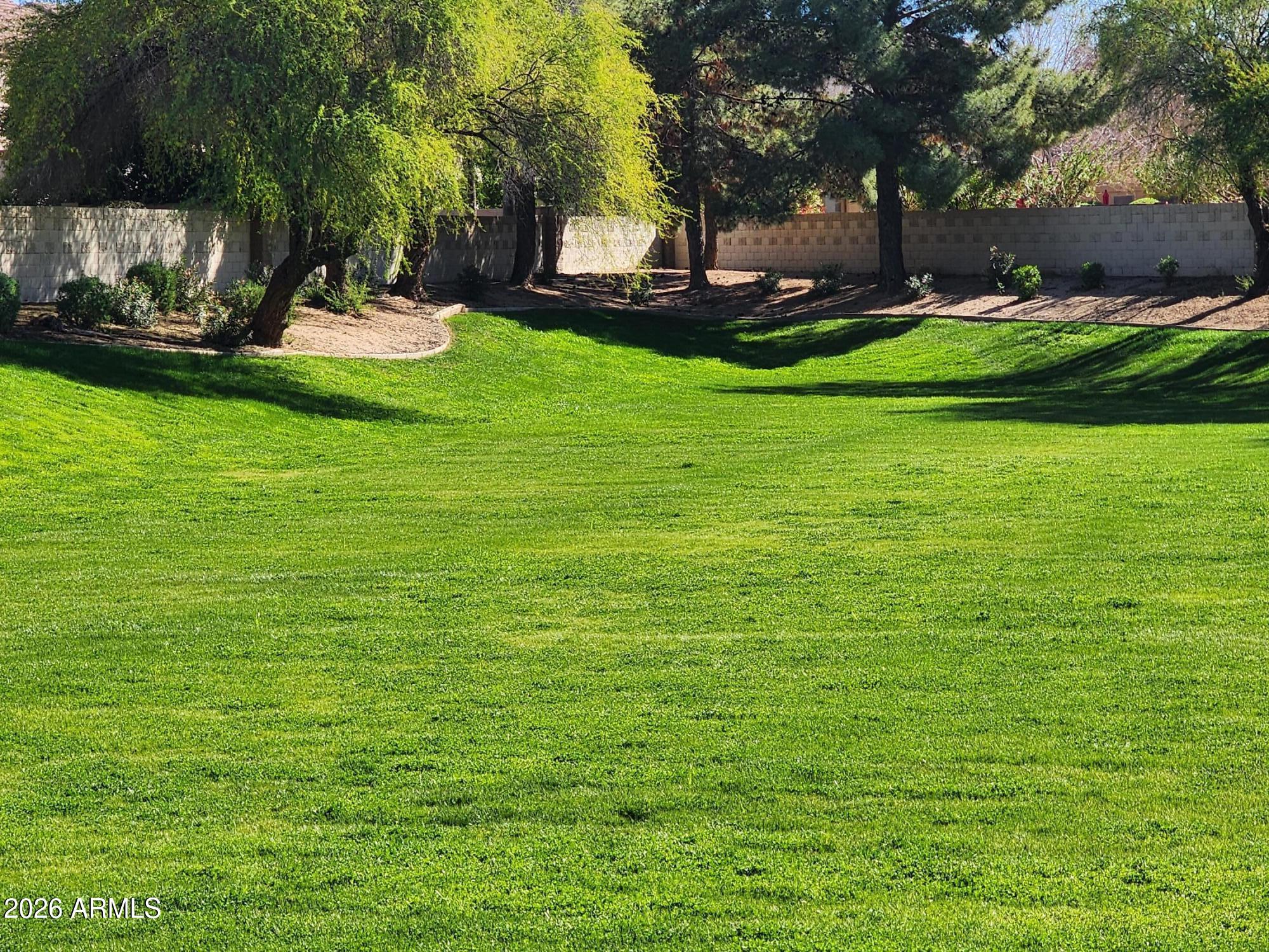 1099 South Justine Court Gilbert, AZ 85296 - Photo 56 of 60 a view of a table and chairs in the patio
