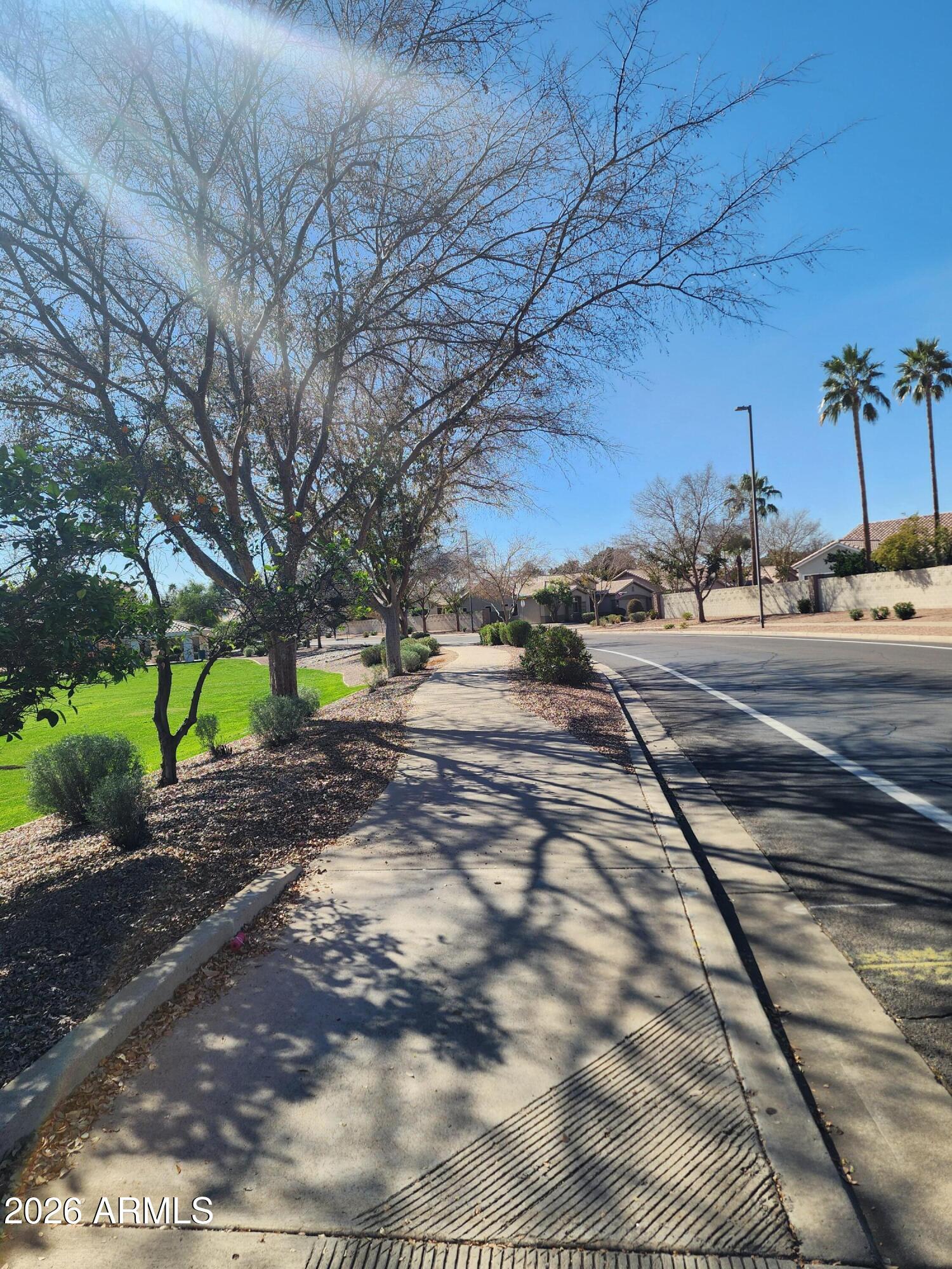 1099 South Justine Court Gilbert, AZ 85296 - Photo 58 of 60 a view of a yard with plants and trees