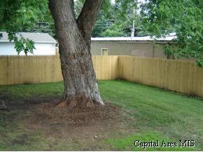 1110 North 1st Street Springfield, IL 62702 - Photo 4 of 8