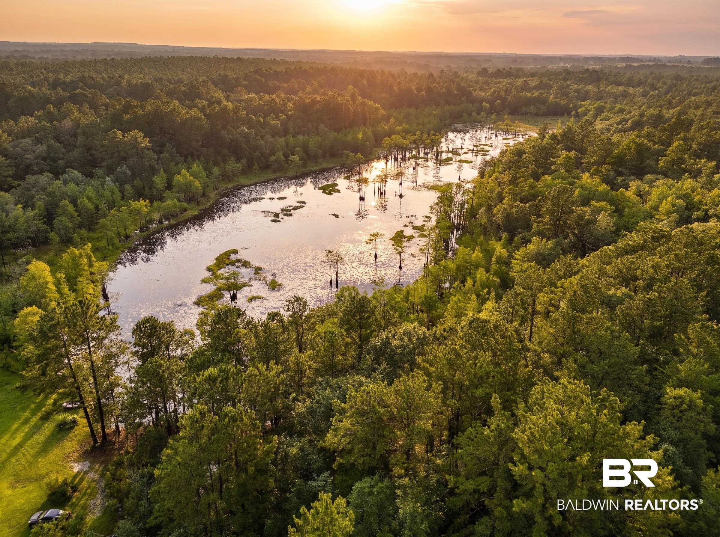 0 Doyle Morgan Road Samson, AL 36477 - Photo 2 of 22