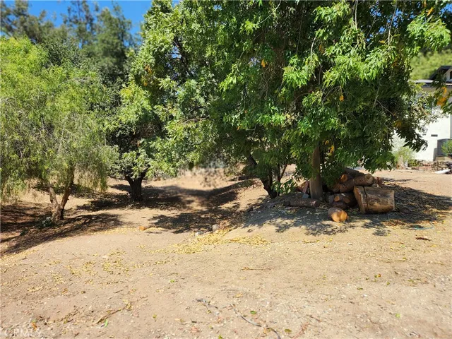 a view of a yard with a tree