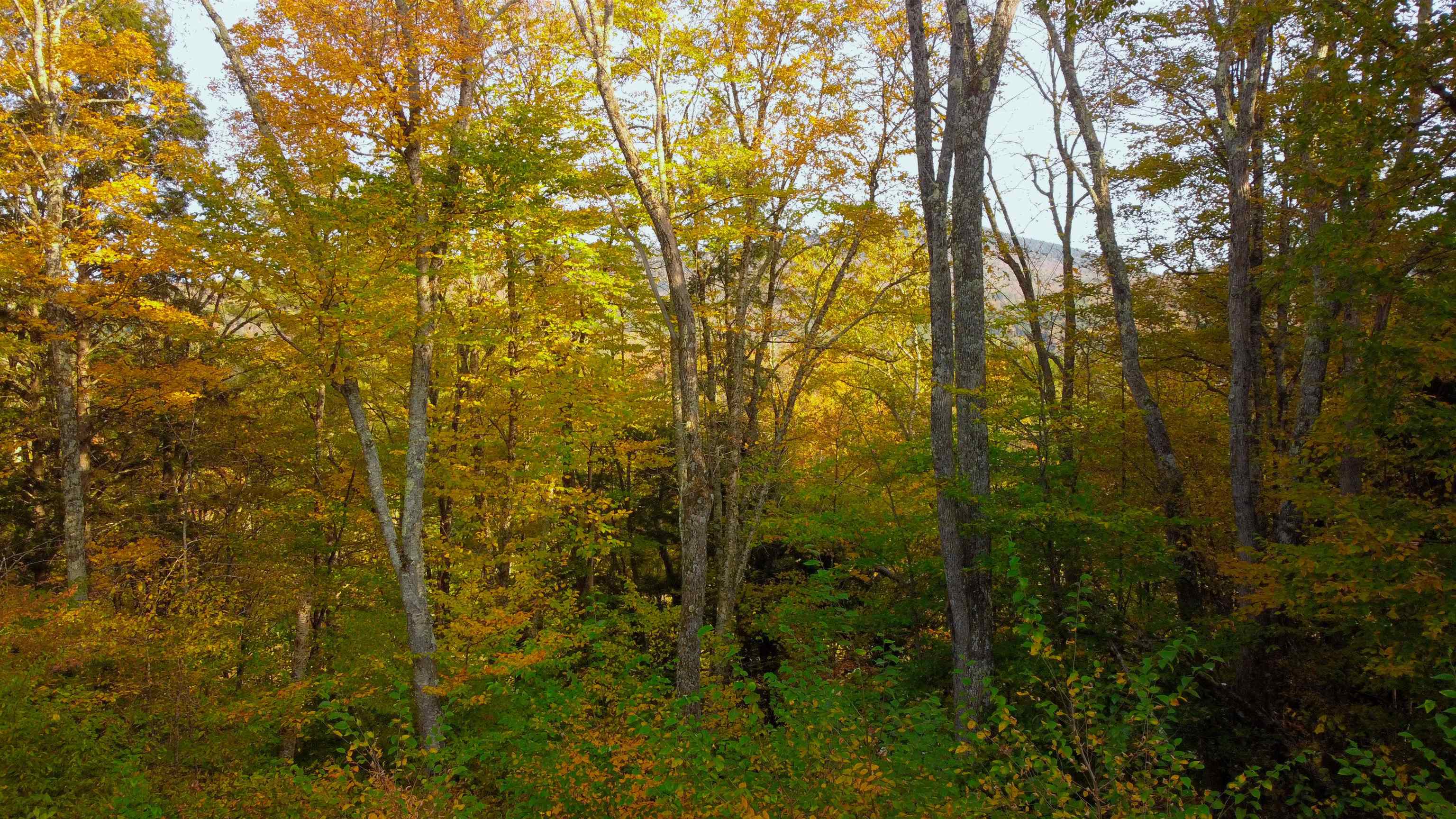 463 Old Talc Mine Road Waitsfield, VT 05660 - Photo 11 of 15