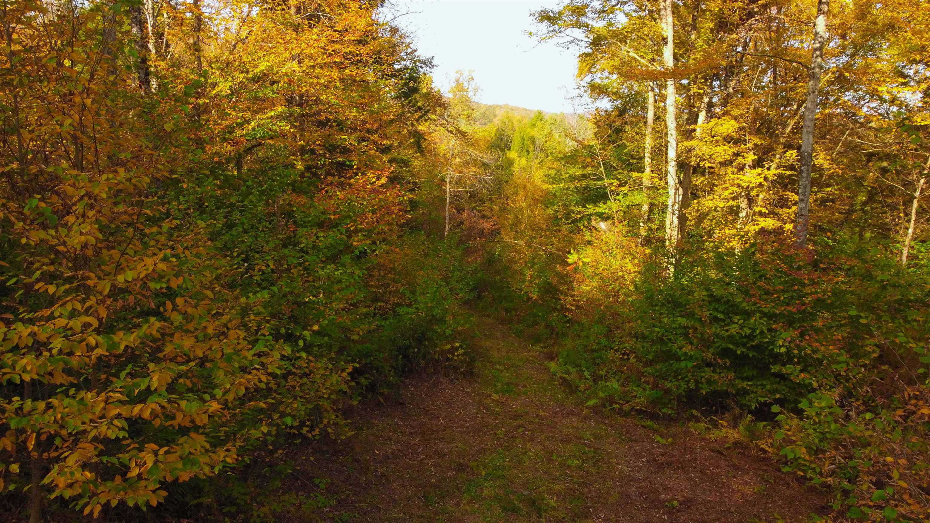 463 Old Talc Mine Road Waitsfield, VT 05660 - Photo 4 of 15