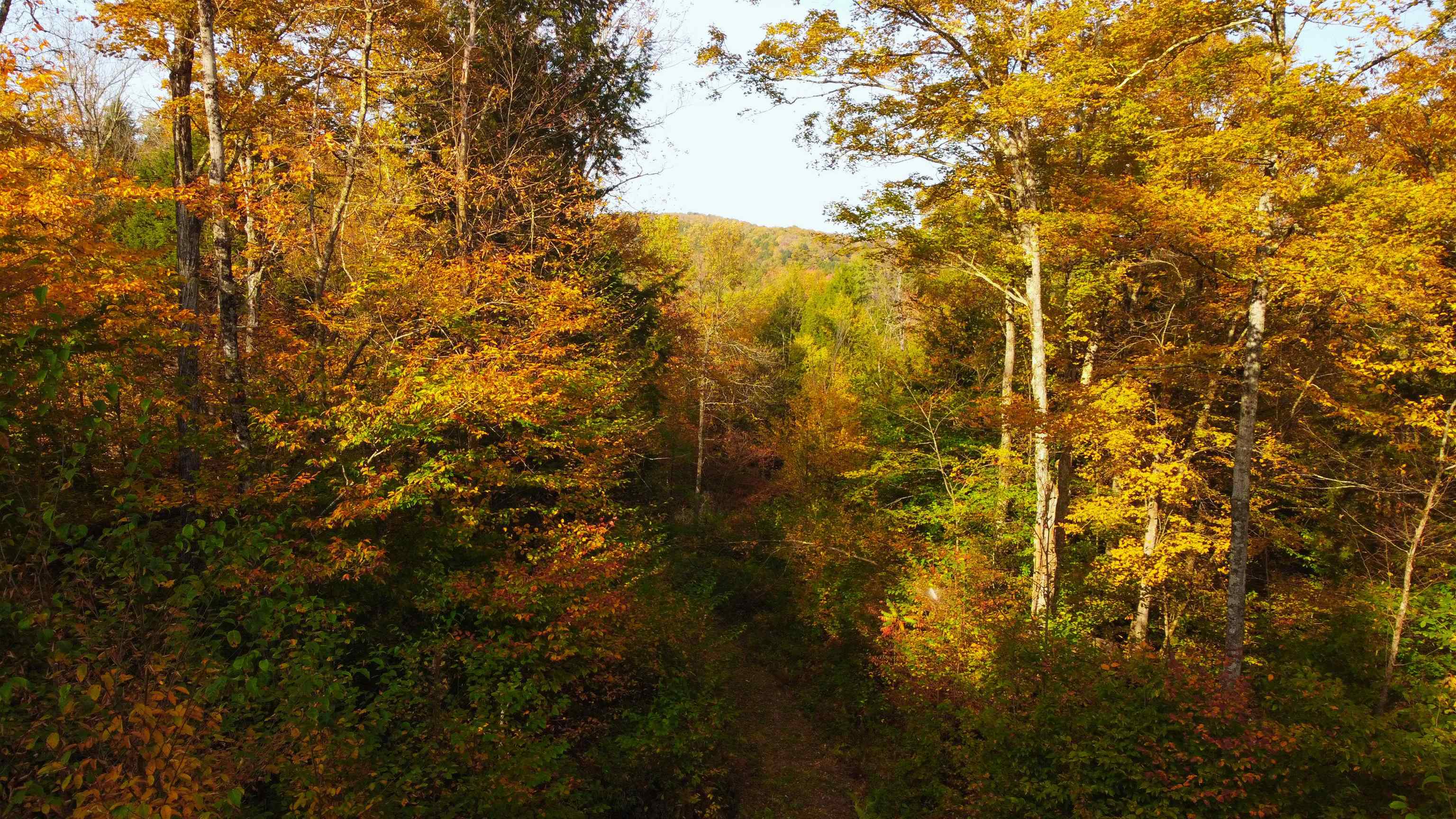 463 Old Talc Mine Road Waitsfield, VT 05660 - Photo 5 of 15