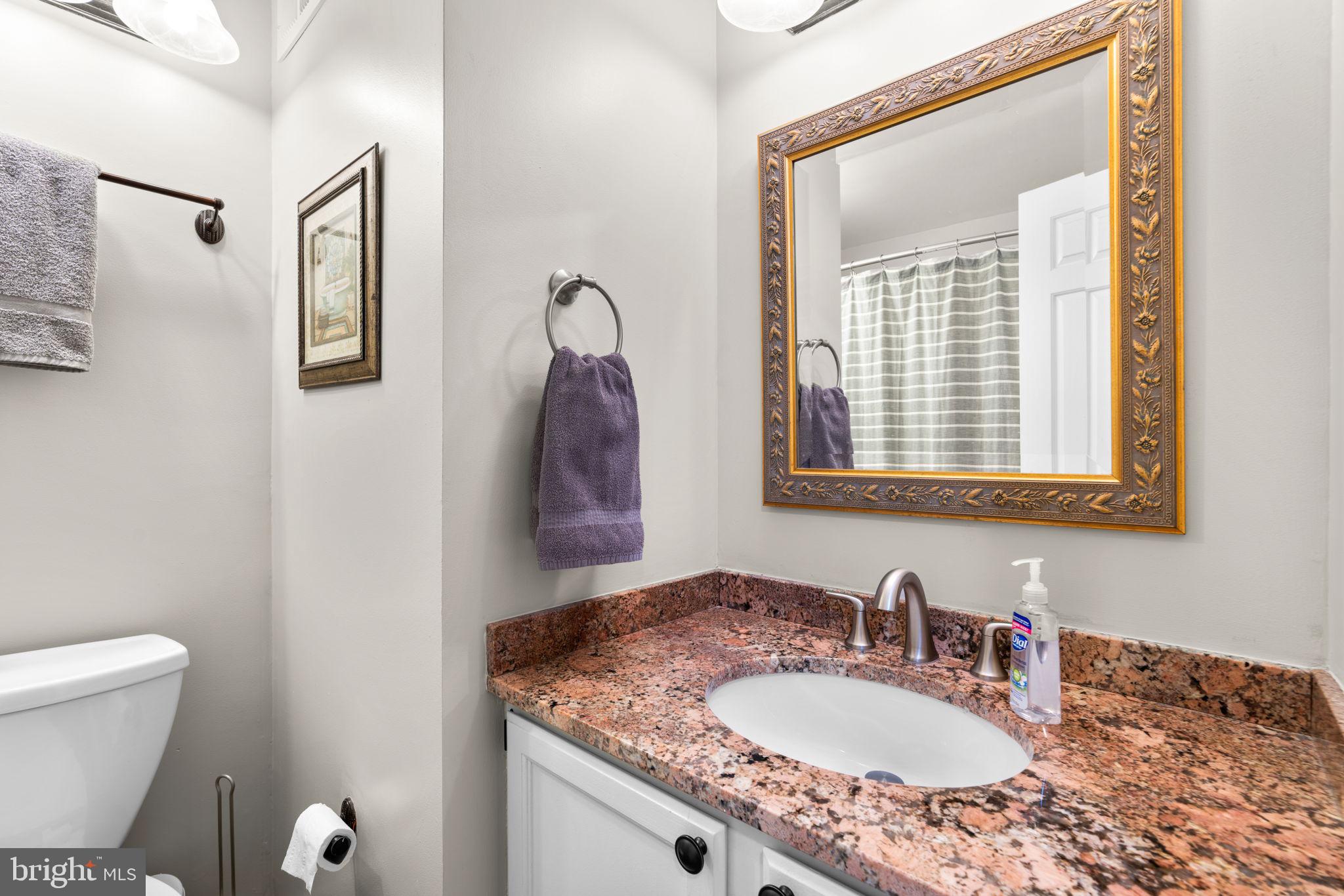9413 Sunfall Court Columbia, MD 21046 - Photo 48 of 71 a bathroom with a granite countertop sink a toilet and mirror