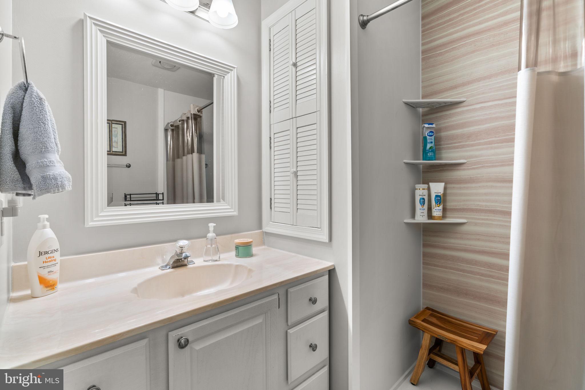9413 Sunfall Court Columbia, MD 21046 - Photo 56 of 71 a bathroom with a sink and a mirror