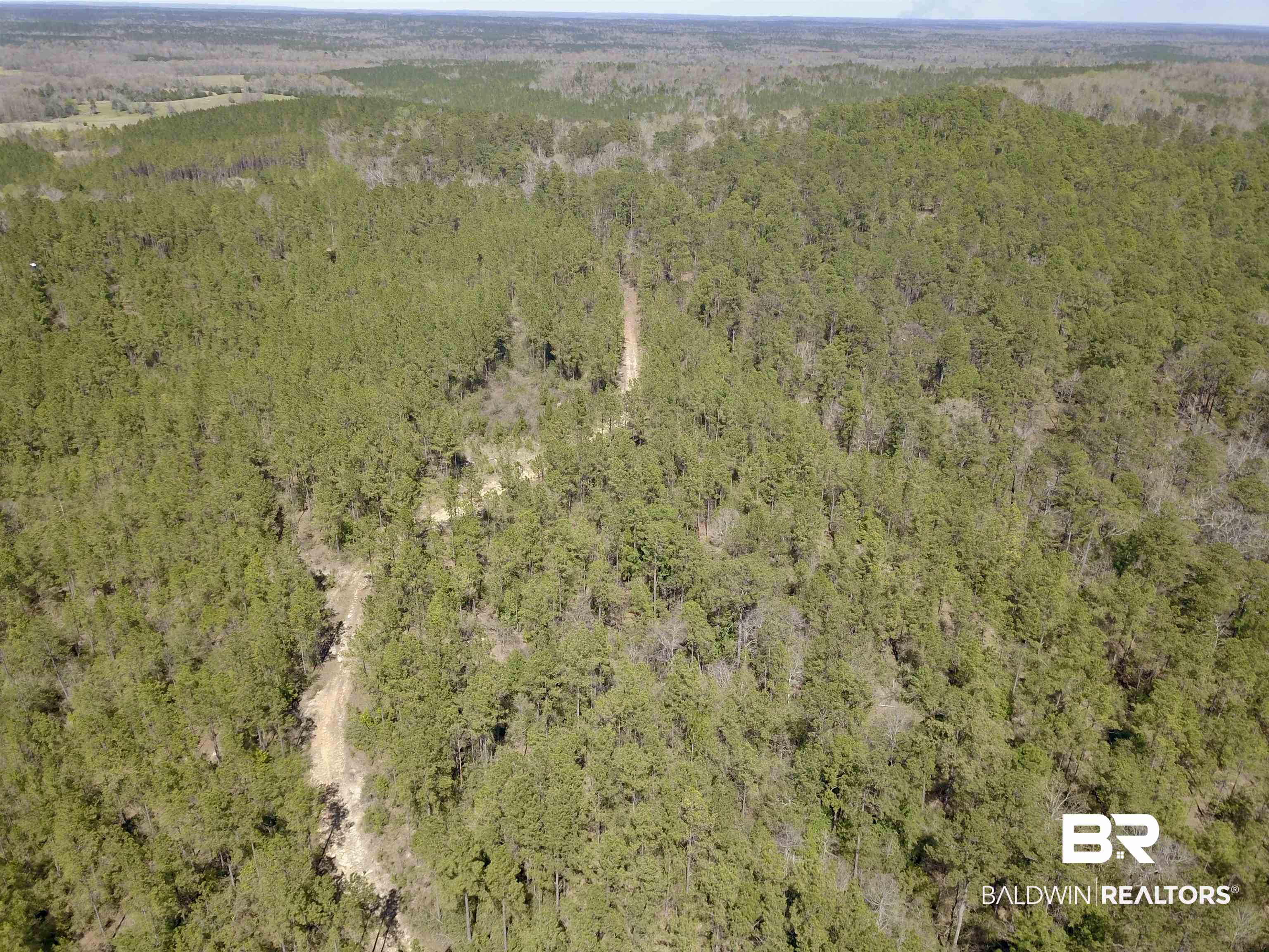 8557 County Road 34 Millry, AL 36558 - Photo 10 of 36 Aerial view with a forest view