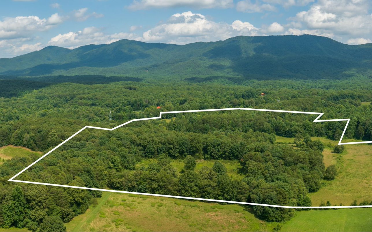 210 Hot Water Road Tellico Plains, TN 37385 - Photo 5 of 59 Additional View