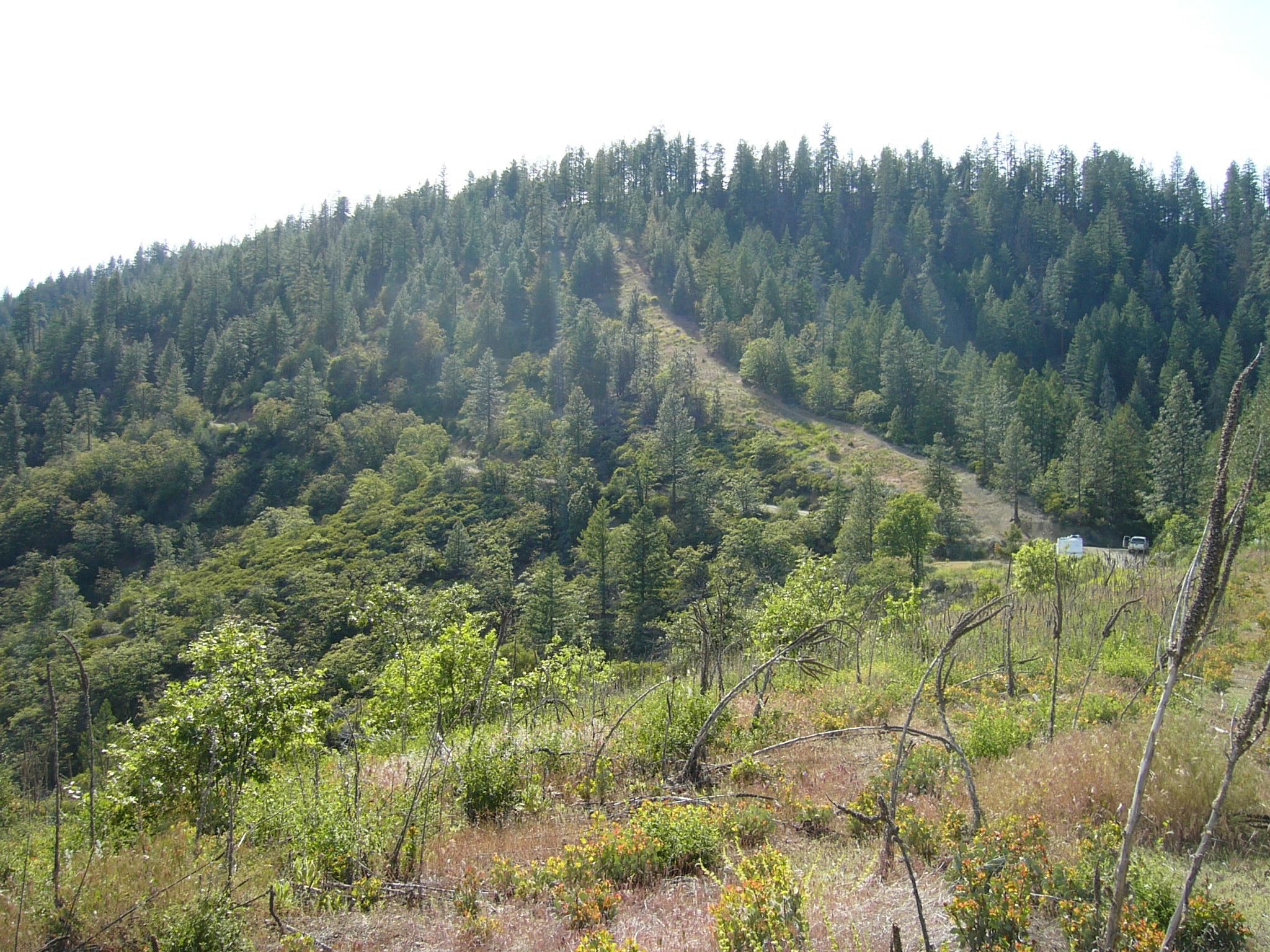 127 Acres Road Yreka, CA 96097 - Photo 8 of 24 Gallery Image 8