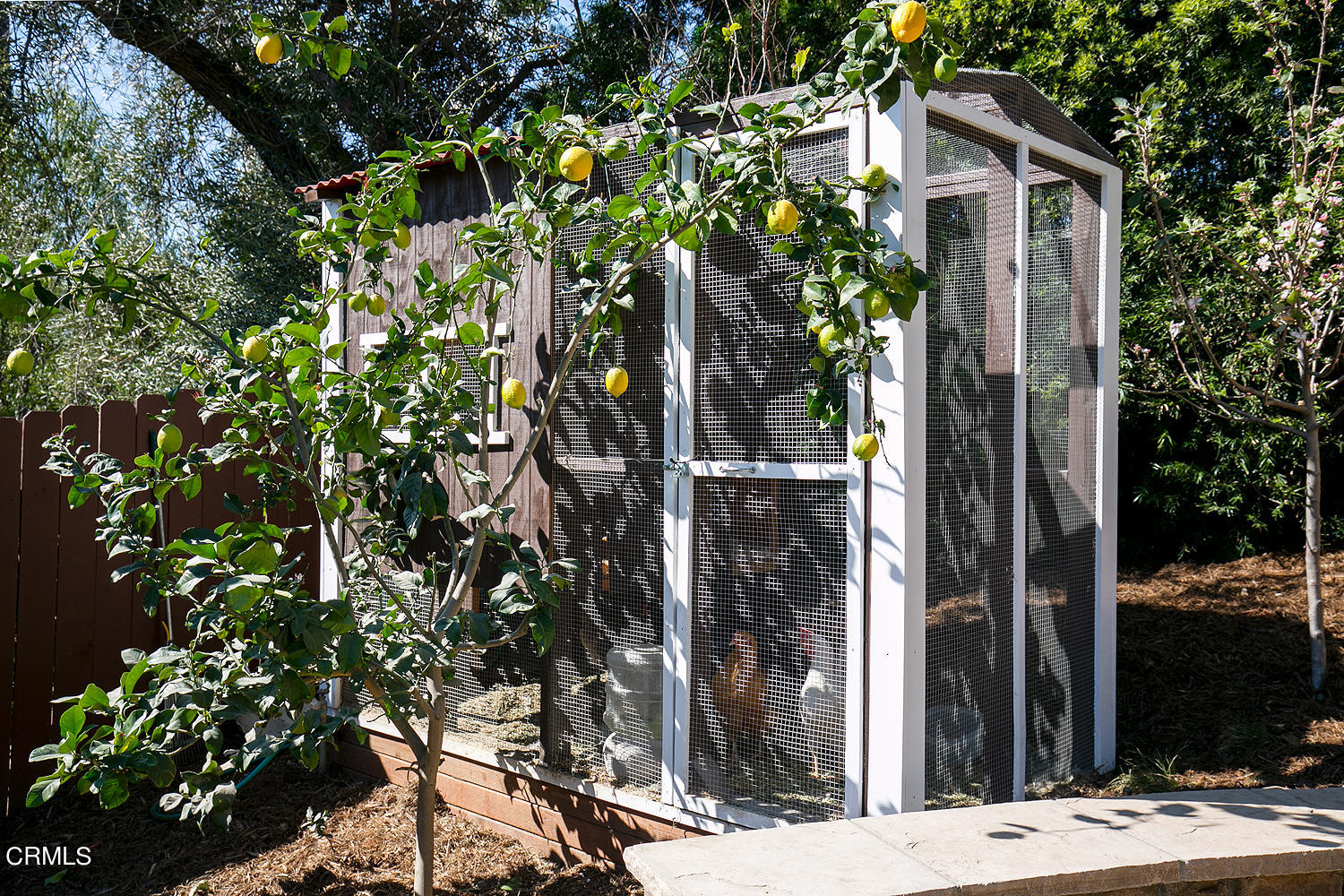 4535 Lone Pine Lane La Canada Flintridge, CA 91011 - Photo 48 of 62 a view of a house with a tree