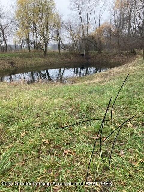 3298 Balcom Road Ovid, MI 48866 - Photo 1 of 5 pond