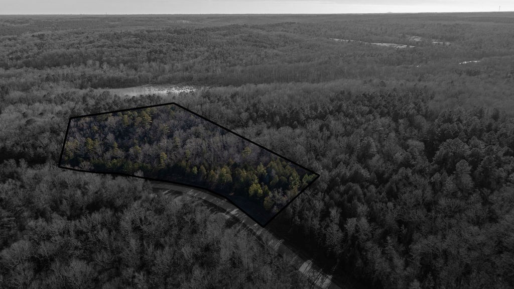 0 Terrapin Pointe Road Hodges, SC 29653 - Photo 4 of 17