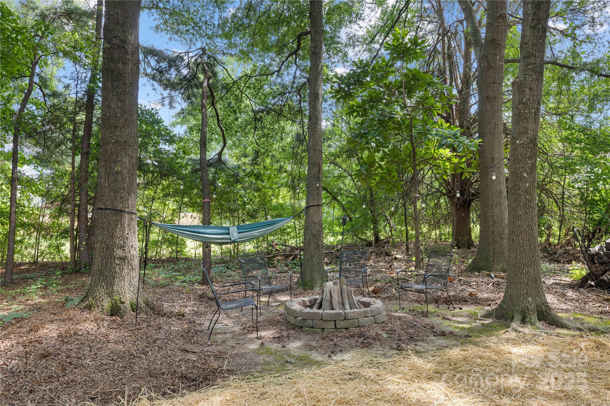 3100 Hickory Grove Drive Monroe, NC 28110 - Photo 16 of 16 a view of a tree in a yard