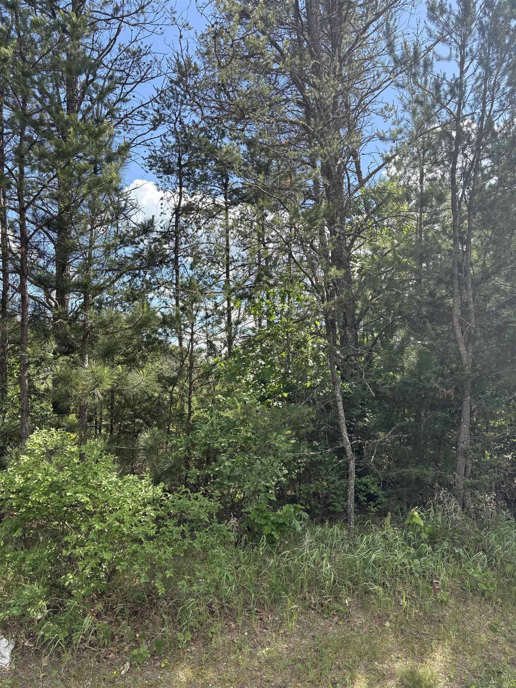 1369 County Rd C Arkdale, WI 54613 - Photo 8 of 13