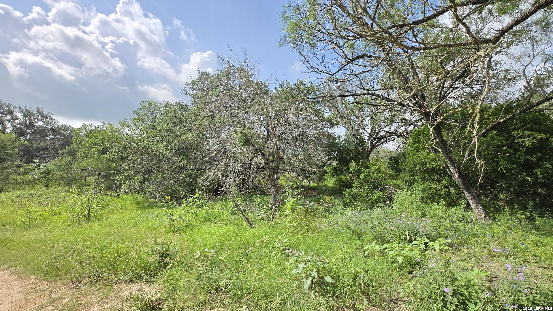 289 Zigmond Road Poteet, TX 78065 - Photo 6 of 37